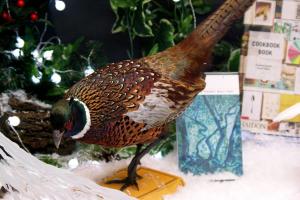 book and pheasant